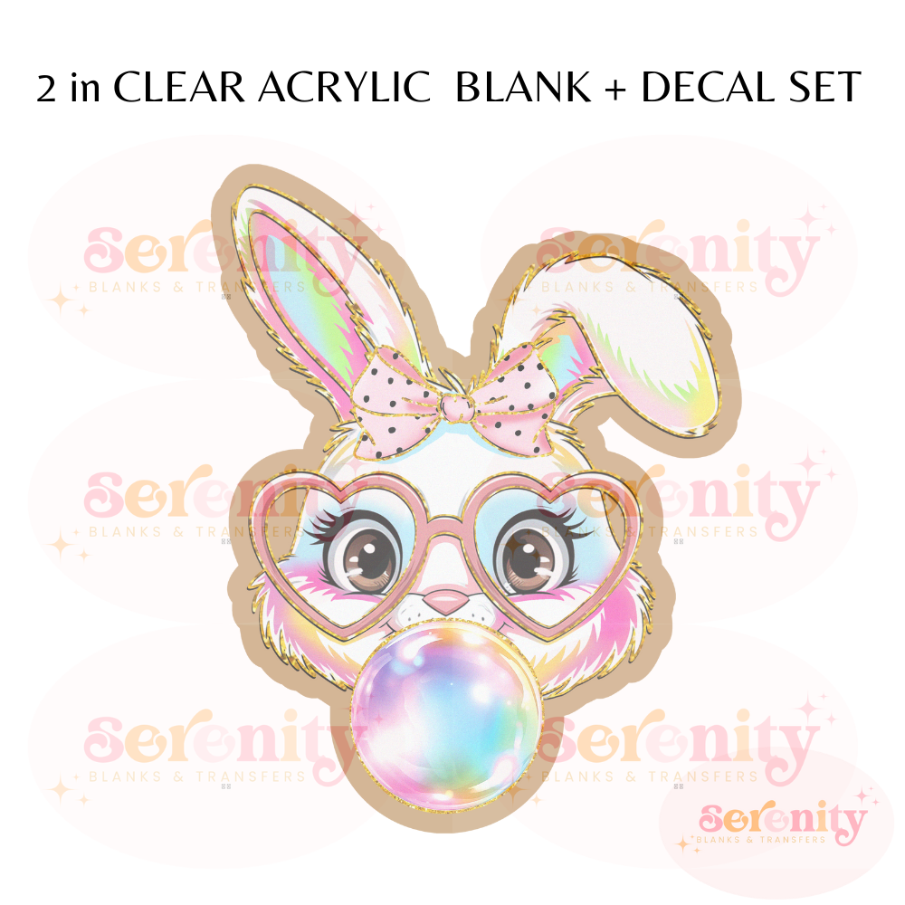 Cute Easter bunny acrylic blanks & decal set