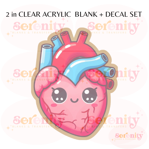 Kawaii Anatomically Correct Heart Acrylic blanks & decal set