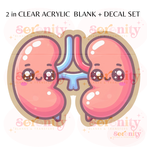 Kawaii Kidneys blanks & decal set