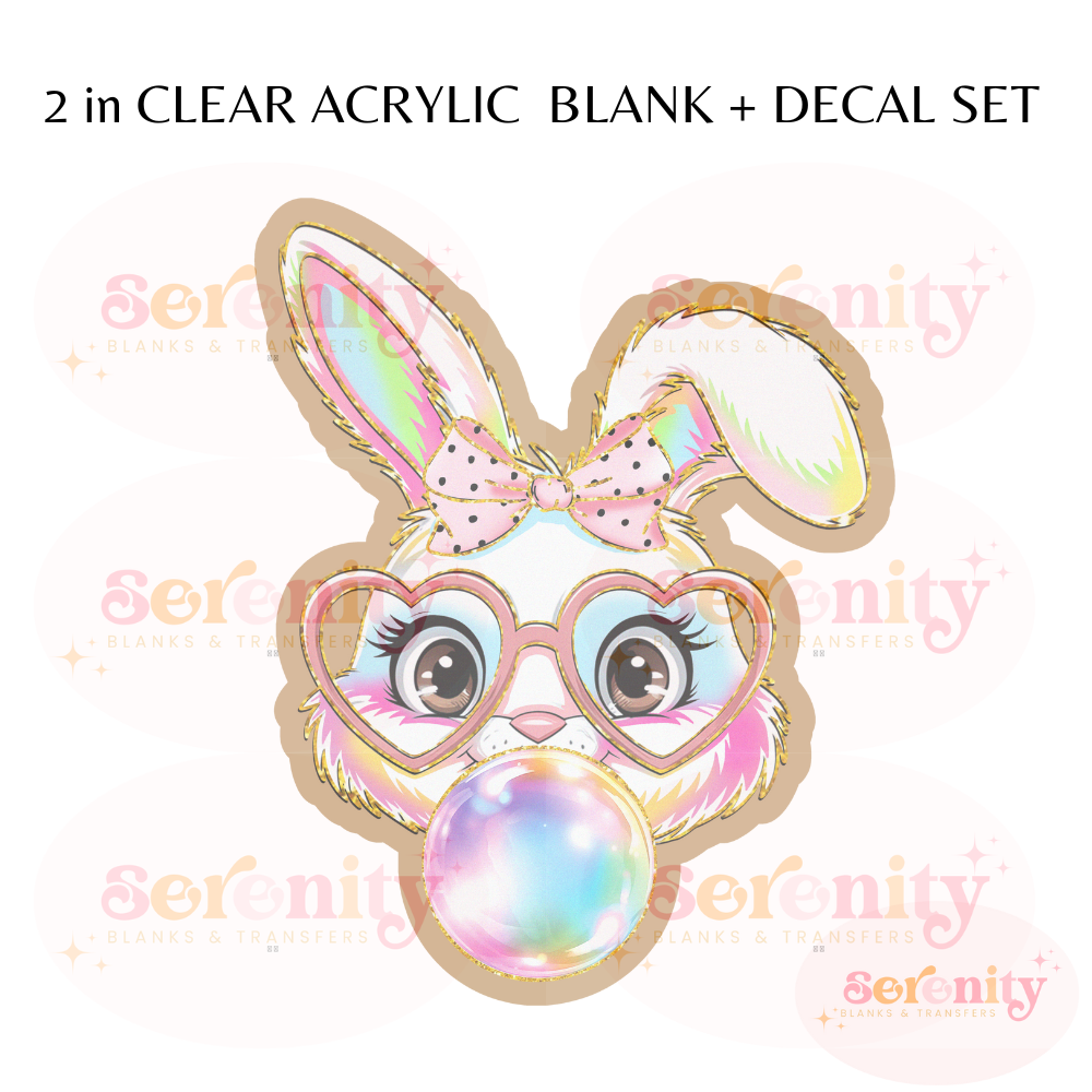 Cute Easter bunny  acrylic blanks & decal set