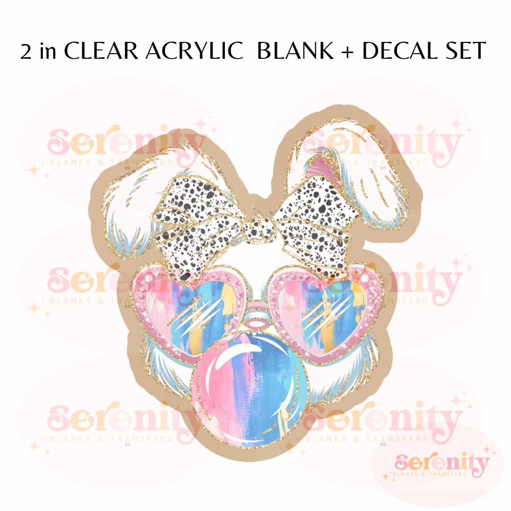 Cute Easter Bunny with sunglasses acrylic blanks & decal set